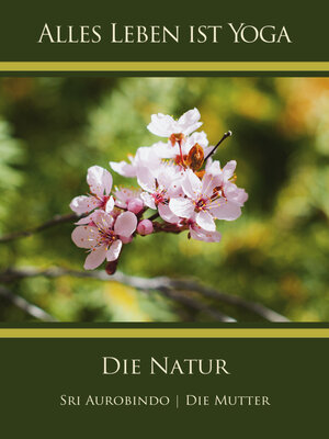 cover image of Die Natur